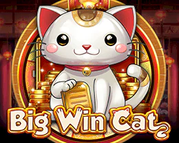 Big Win Cat